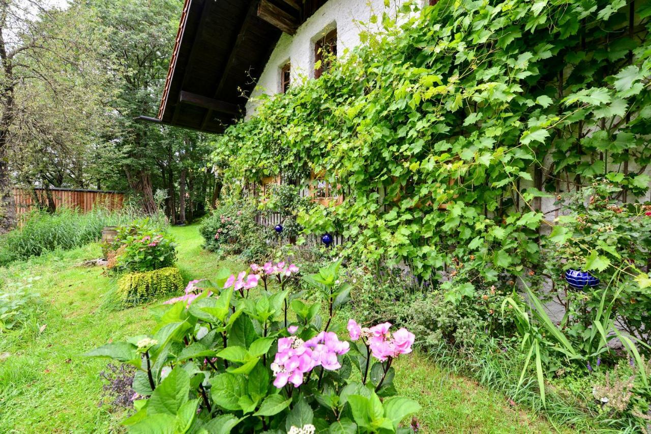 Hofatelier Menacher Neureichenau Exterior photo