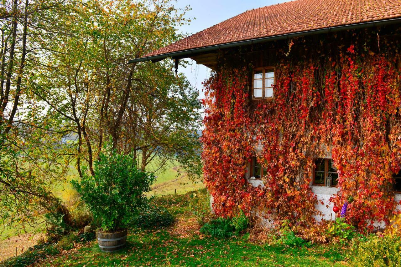 Hofatelier Menacher Neureichenau Exterior photo